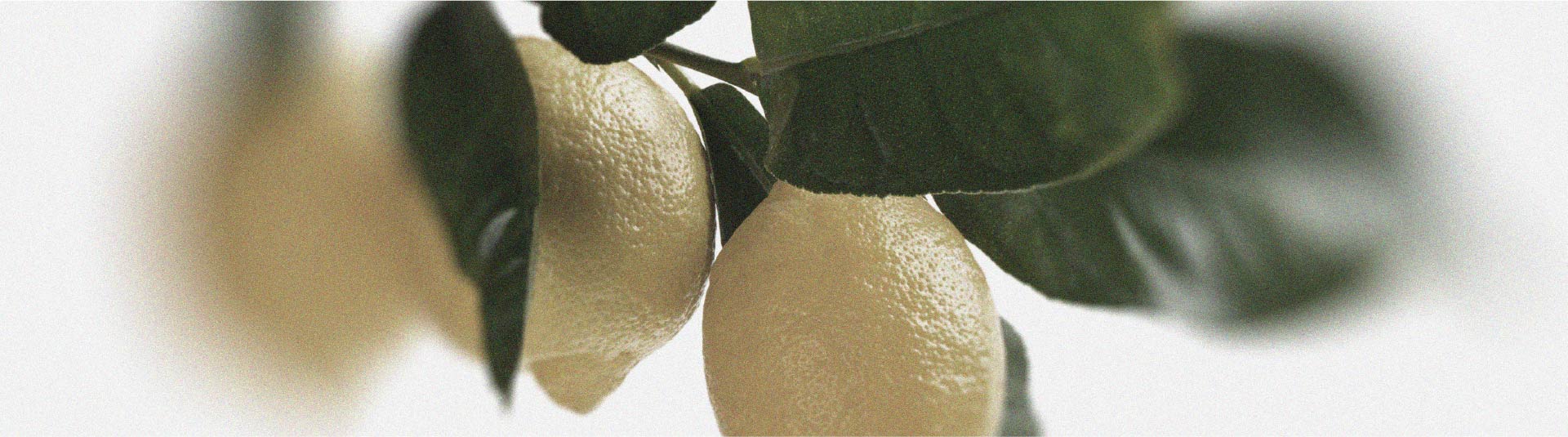 Quels aliments peuvent soulager la tendinite