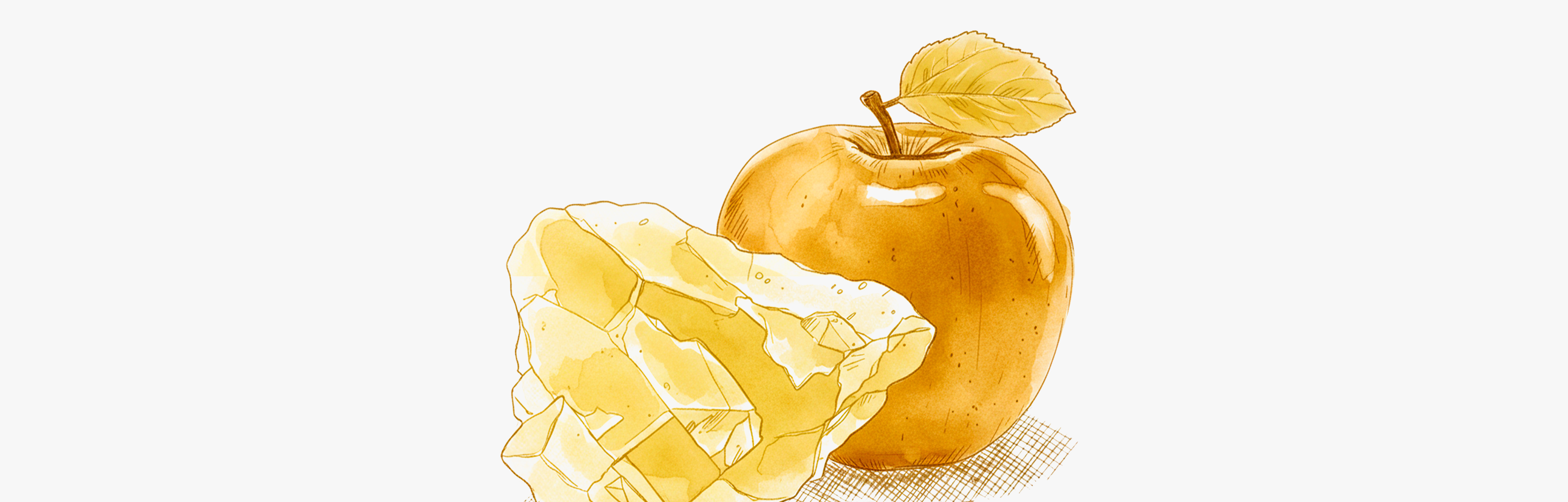 Le malate de magnésium a une biodisponibilité élevée