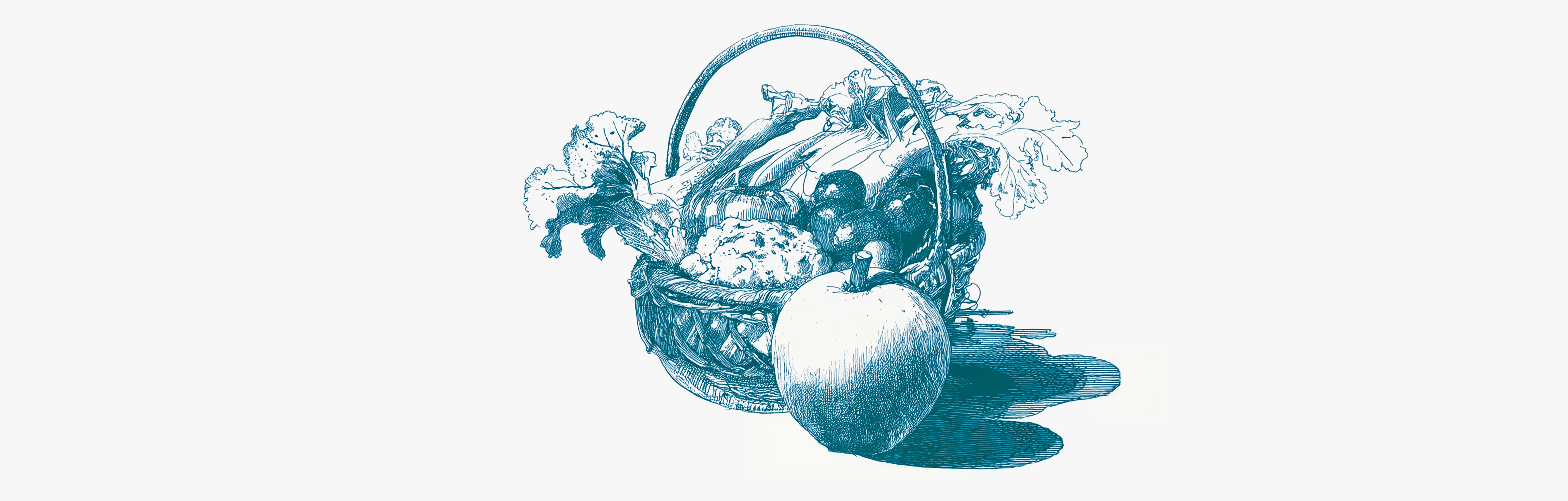 La liste des aliments les plus riches en fibres