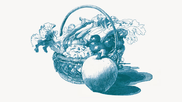 La liste des aliments les plus riches en fibres