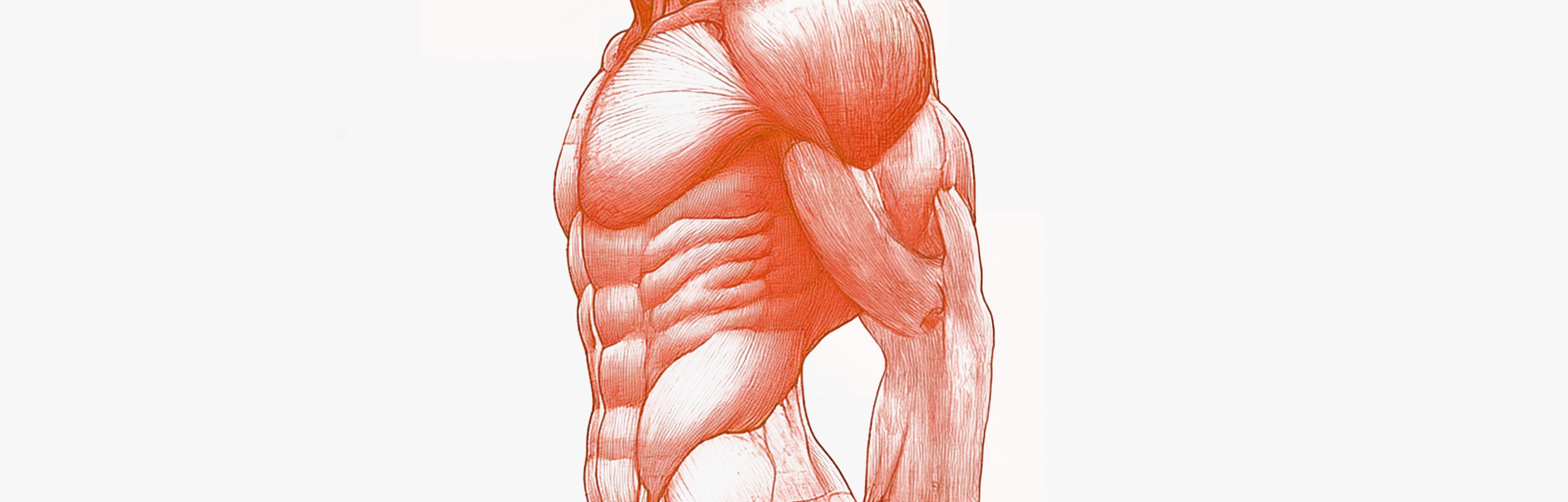 Les aliments les plus riches en protéines