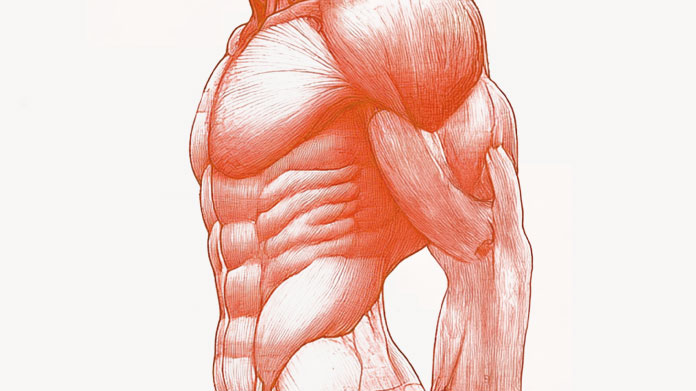 Les aliments les plus riches en protéines