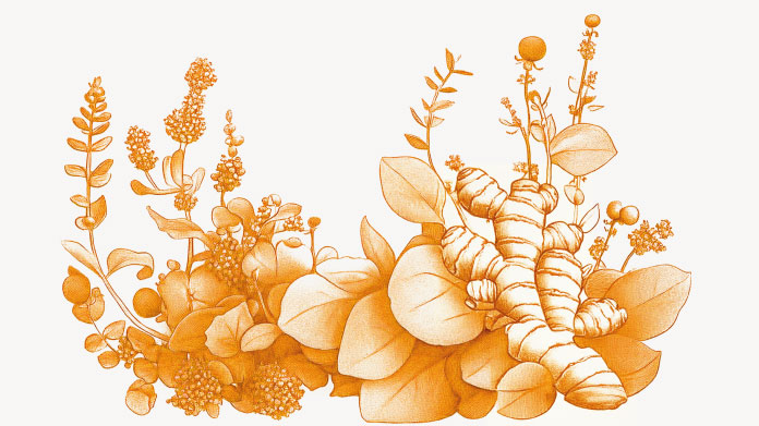 Meilleurs antibiotiques naturels