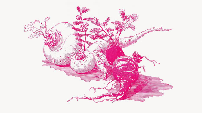 Découvrez la liste des aphrodisiaques naturels pour votre vie sexuelle