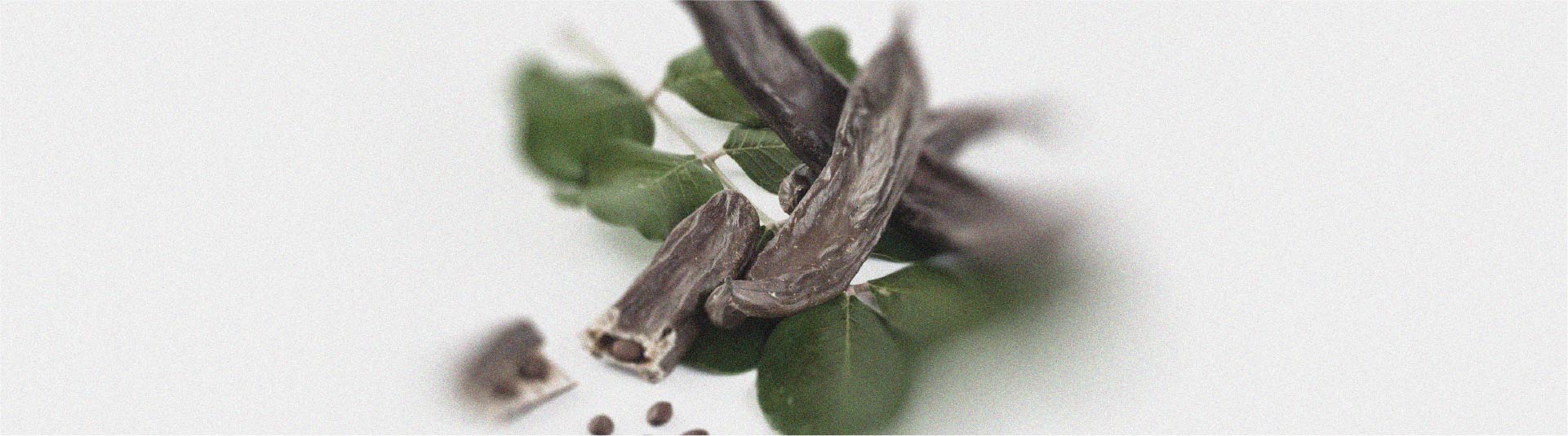 Les bienfaits du caroube