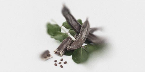 Les bienfaits du caroube