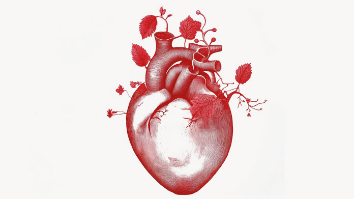 Approche naturelle contre le cholestérol