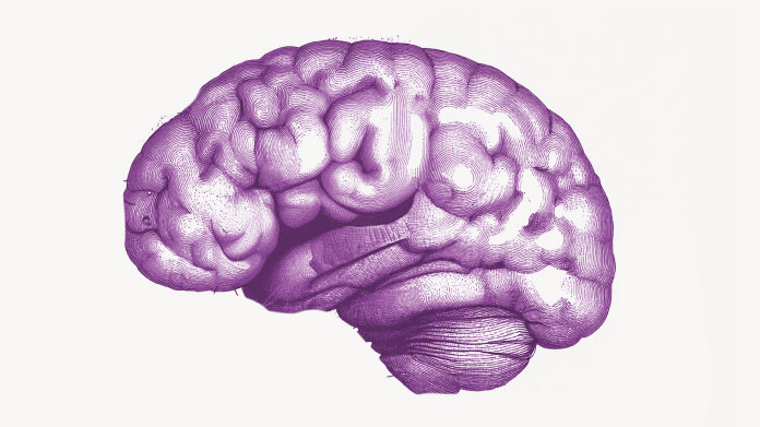 Decouvrez si la choline peut reduire les troubles neurologiques