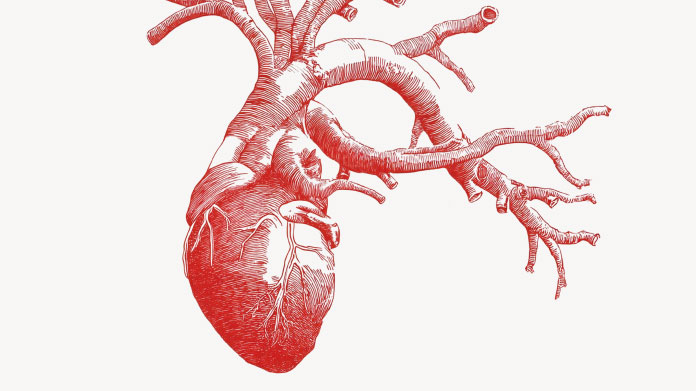 Excès d’homocystéine pour le cœur