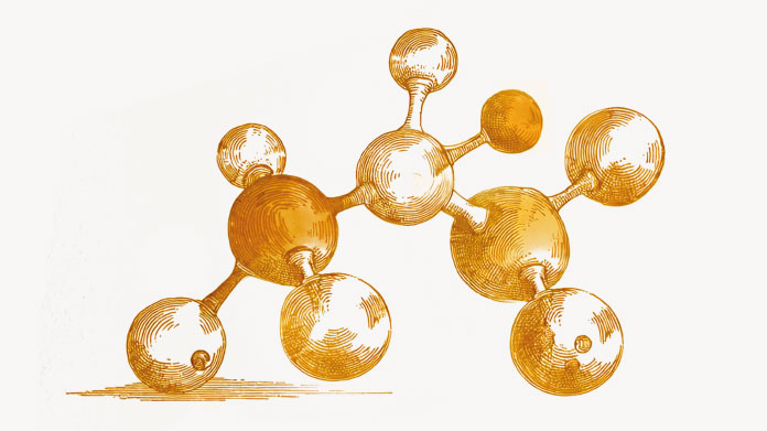 Bienfaits de la glycine