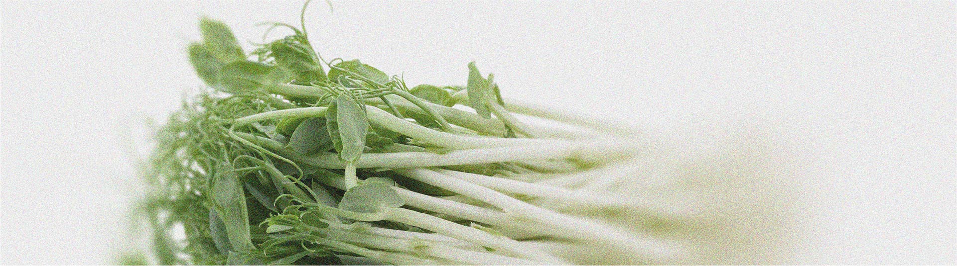 Tout ce que vous devez savoir sur l’intolérance à l’histamine