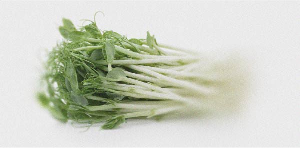 Tout ce que vous devez savoir sur l’intolérance à l’histamine