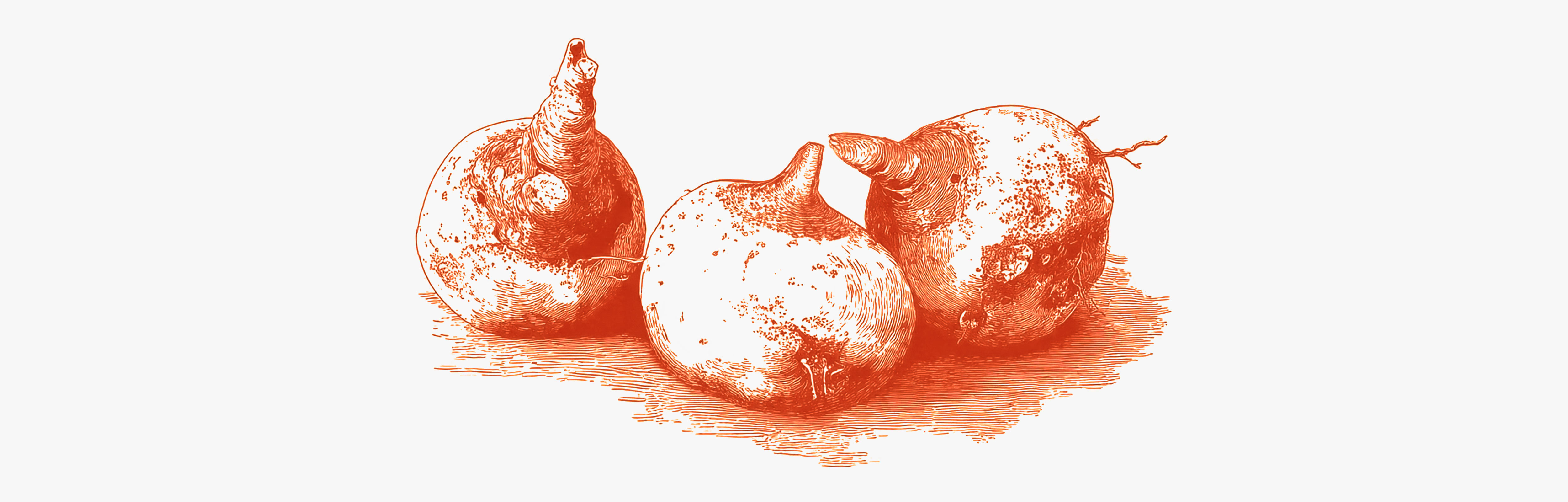 Decouvrez les bienfaits du konjac