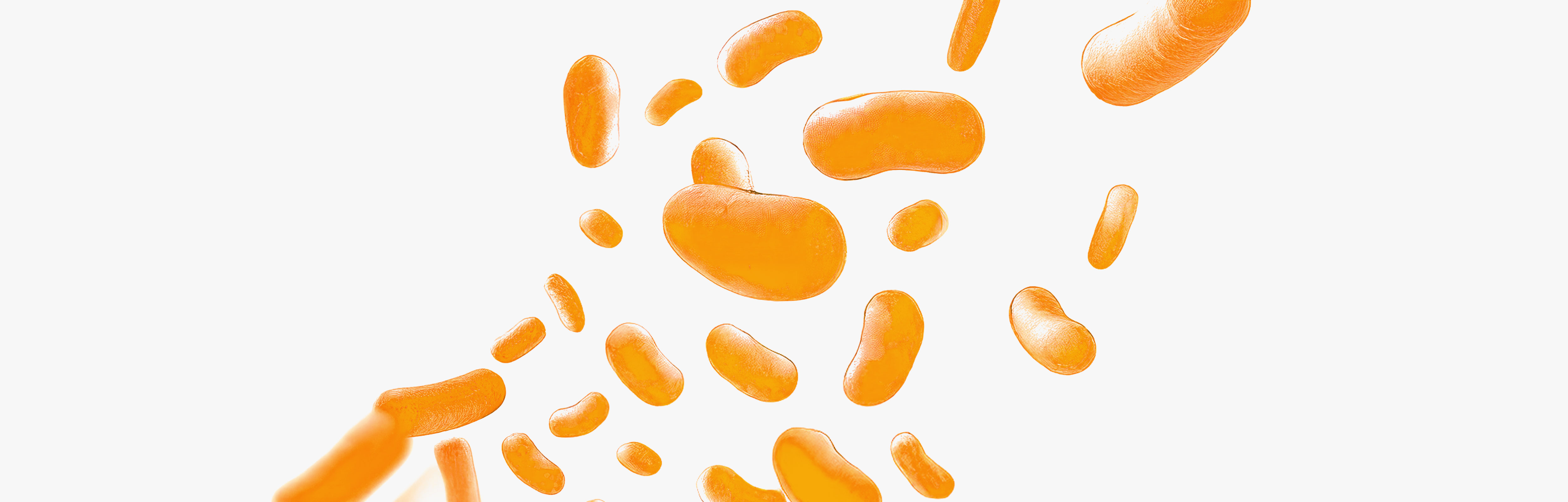 Les bienfaits du Lactobacillus plantarum