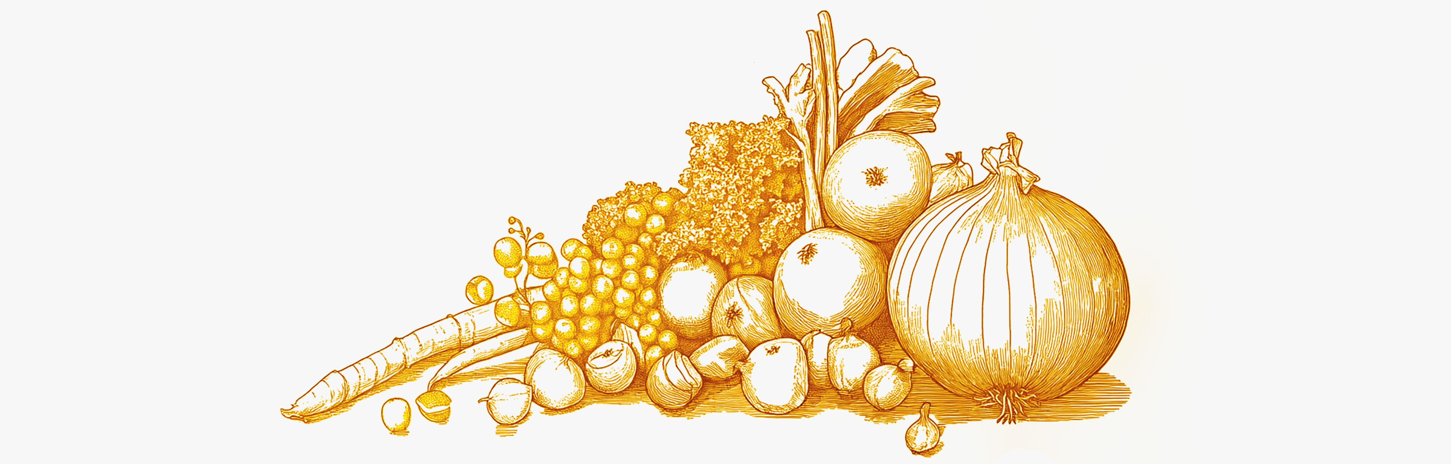 Meilleur antihistaminique naturel