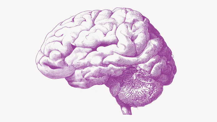 Études et ingrédients pour la mémoire