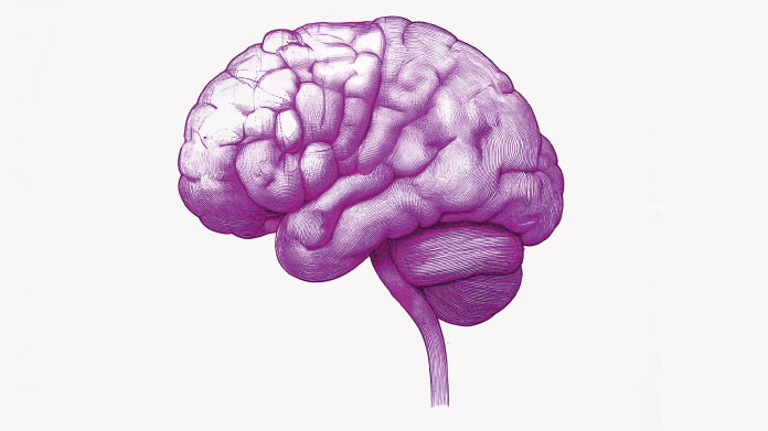 Inflammation cérébrale et troubles mentaux
