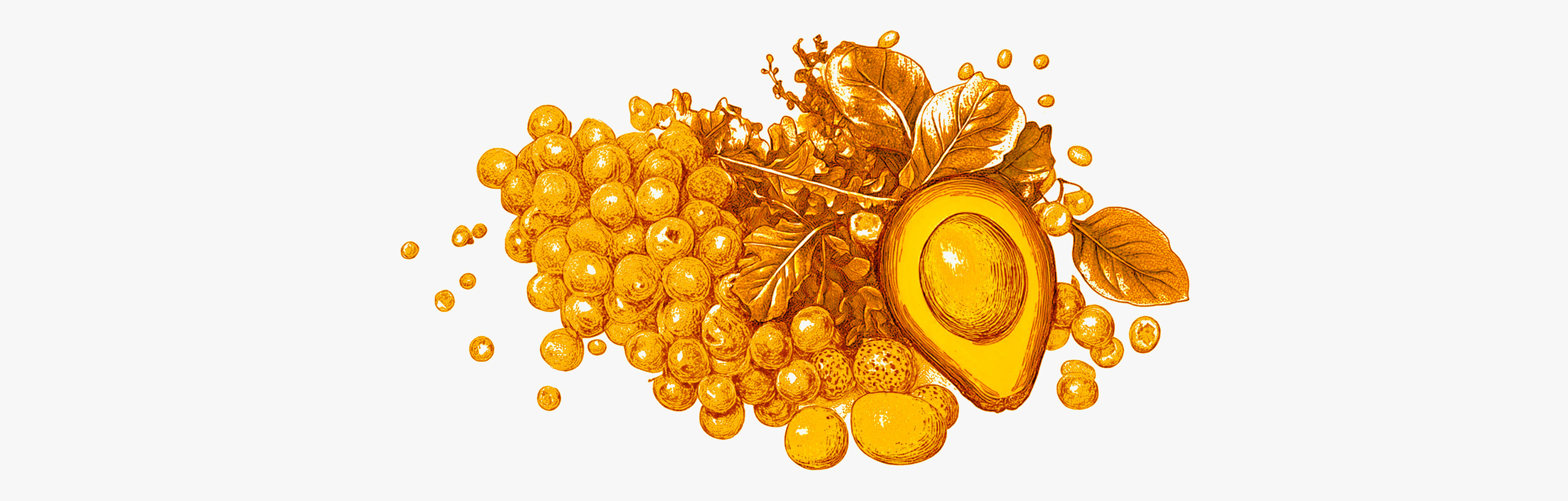 Bienfaits de la micronutrition