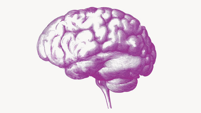 Multivitamines contre le déclin cognitif