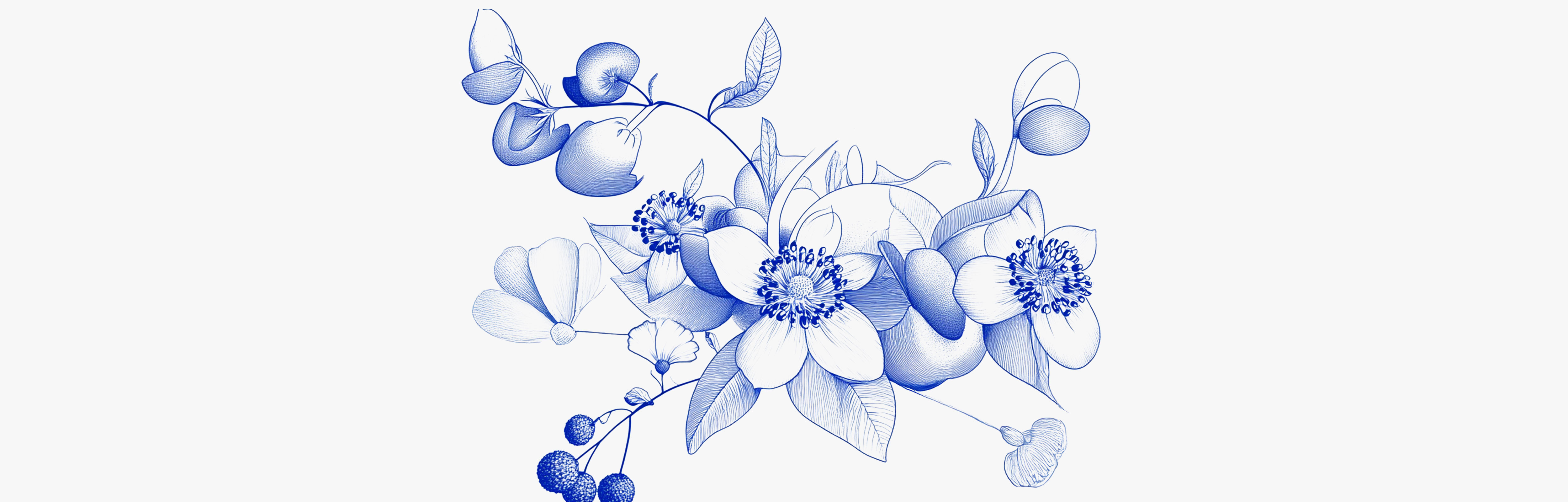 Décontractants musculaires naturels