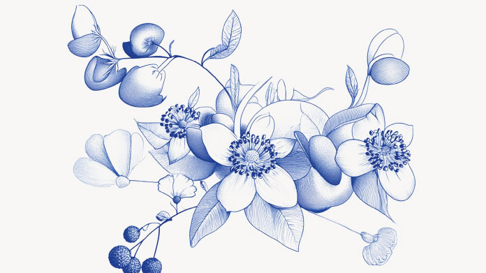 Décontractants musculaires naturels