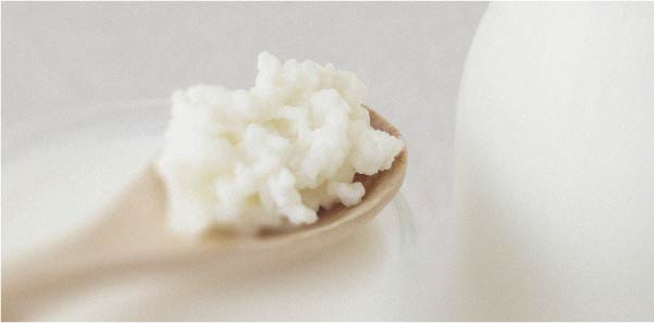 Différents aliments contribuent à la santé