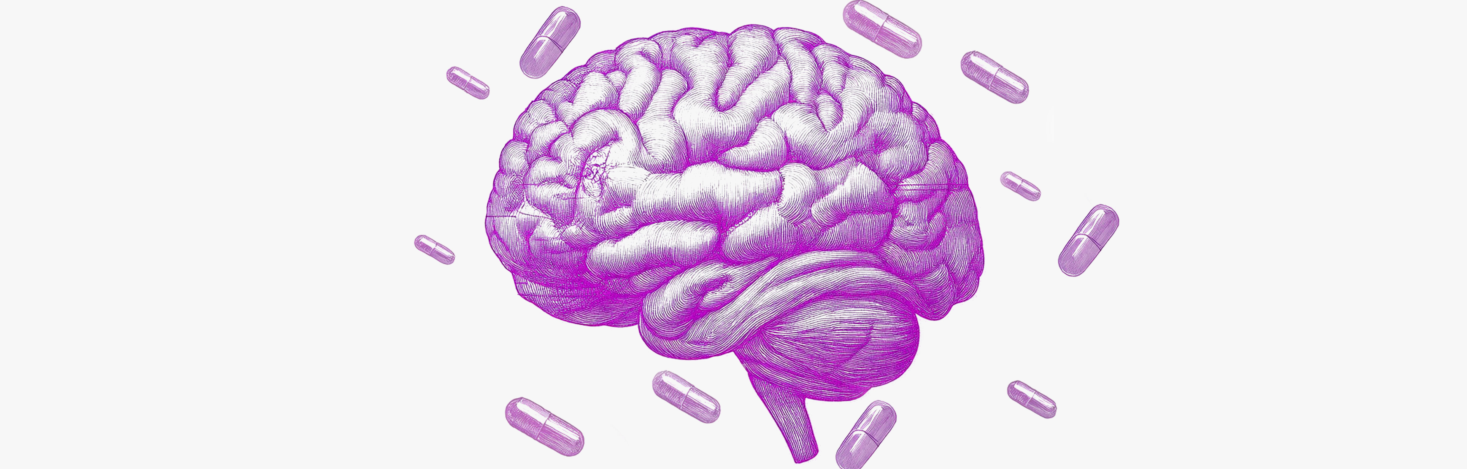 Définition de la phénylalanine et sources alimentaires