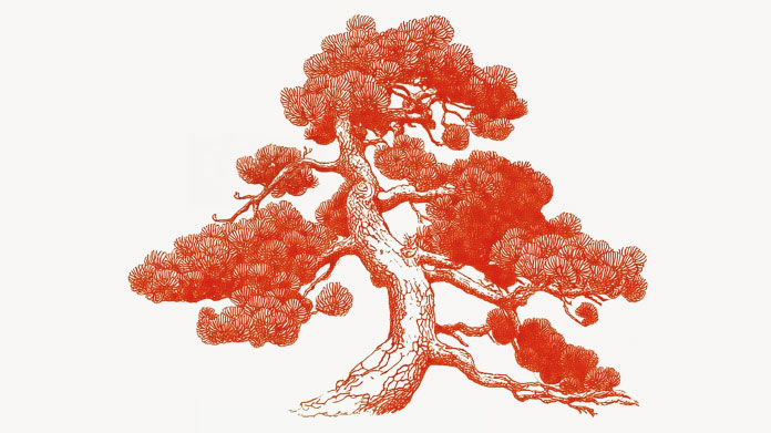 Pin maritime anti-cellulite