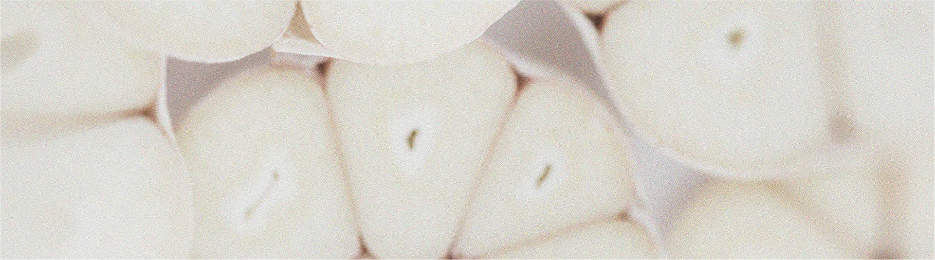 Découvrez la différence entre les prébiotiques et les probiotiques