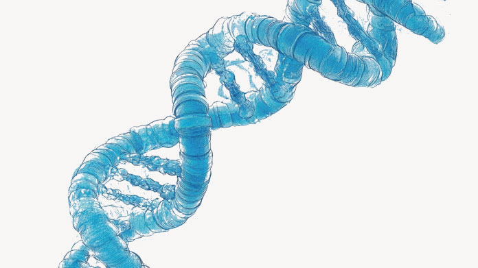 Nutrigénomique & alimentation