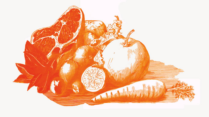 Découvrez tout sur le régime Dukan