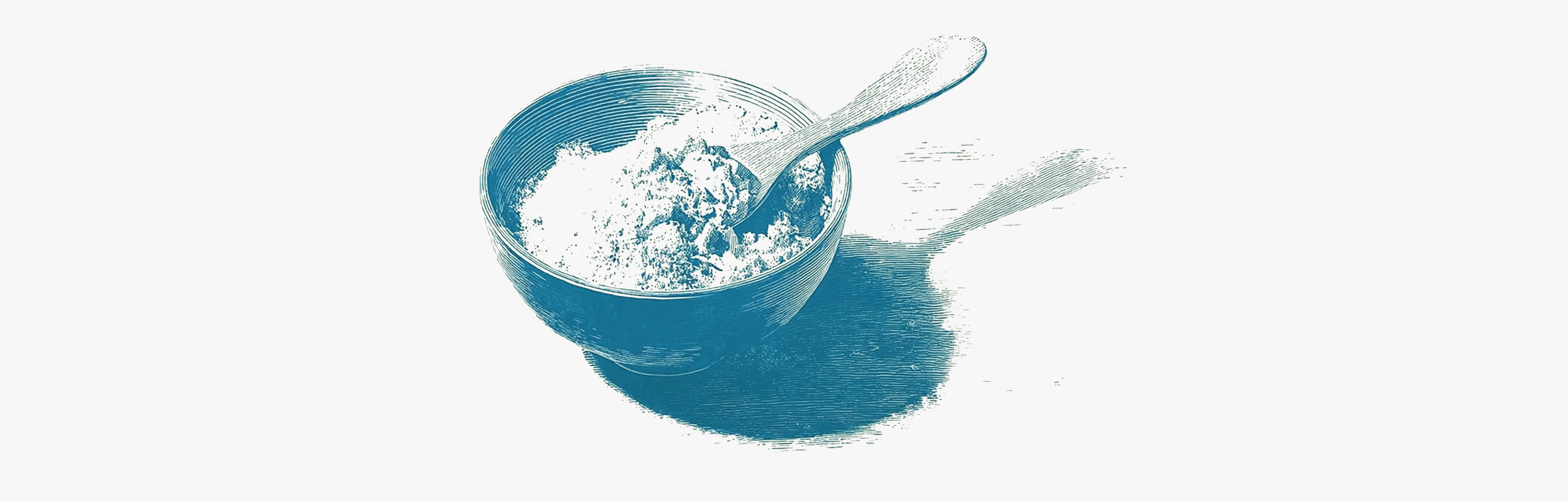 Levure Saccharomyces cerevisiae