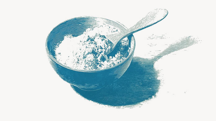 Levure Saccharomyces cerevisiae