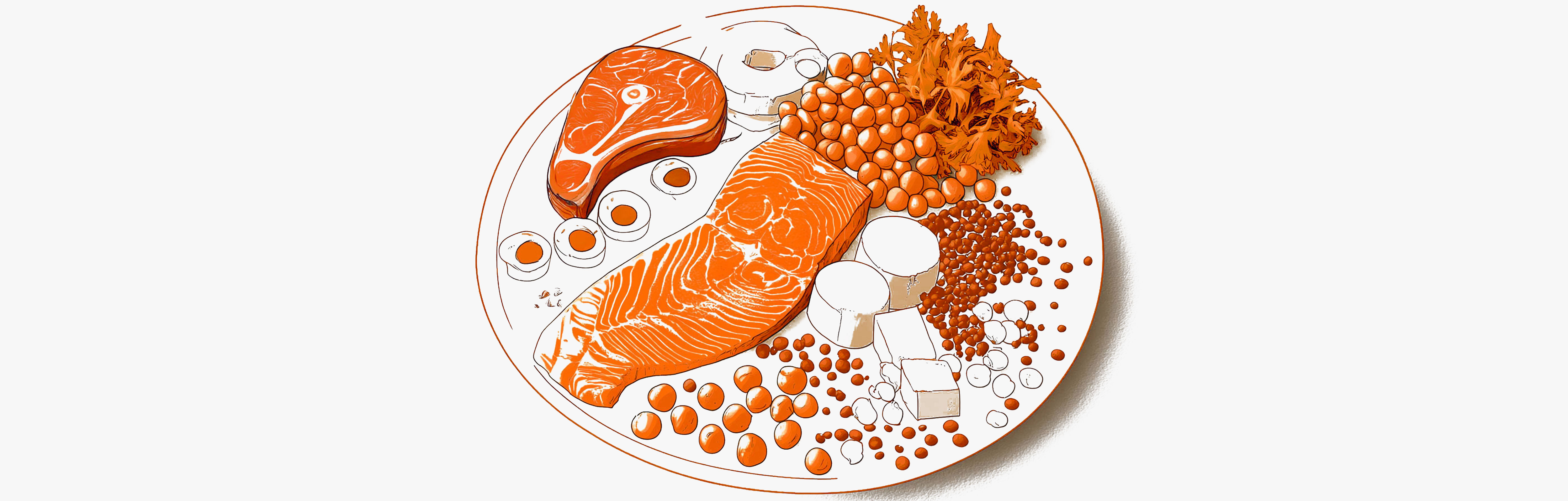 Où trouver des protéines