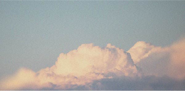 Découvrez si vous pouvez prendre de la vitamine D tous les jours