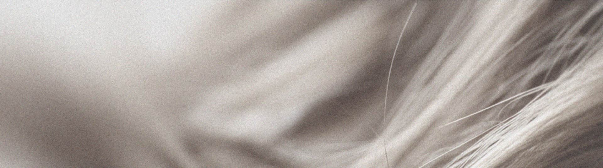 Comment le zinc peut bénéficier à la santé capillaire