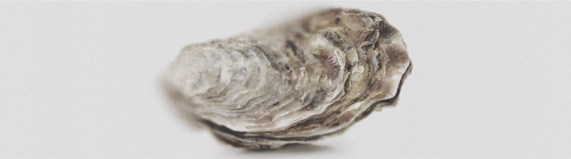 Les bienfaits du zinc pour la femme